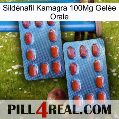 Sildénafil Kamagra 100Mg Gelée Orale 05